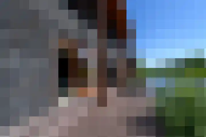 Korte Venen 13 Heerenveen thumbnail 37