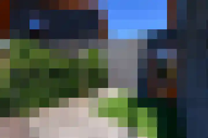 Korte Venen 13 Heerenveen thumbnail 38