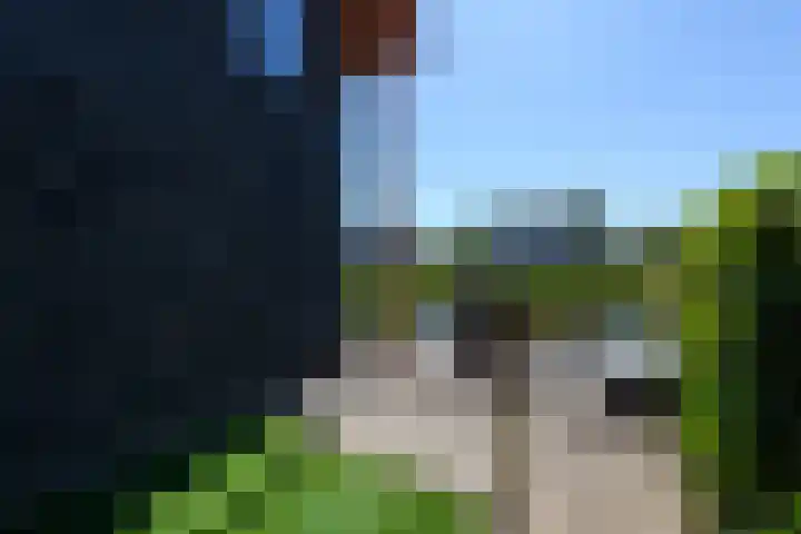 Korte Venen 13 Heerenveen thumbnail 39