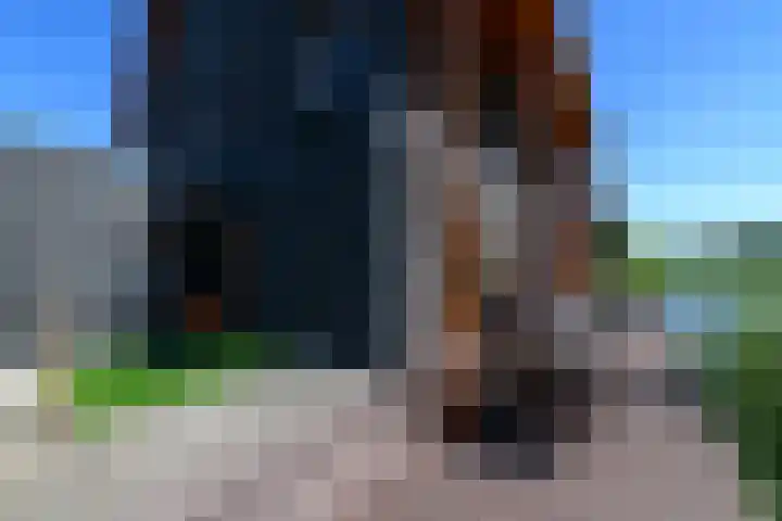 Korte Venen 13 Heerenveen thumbnail 40