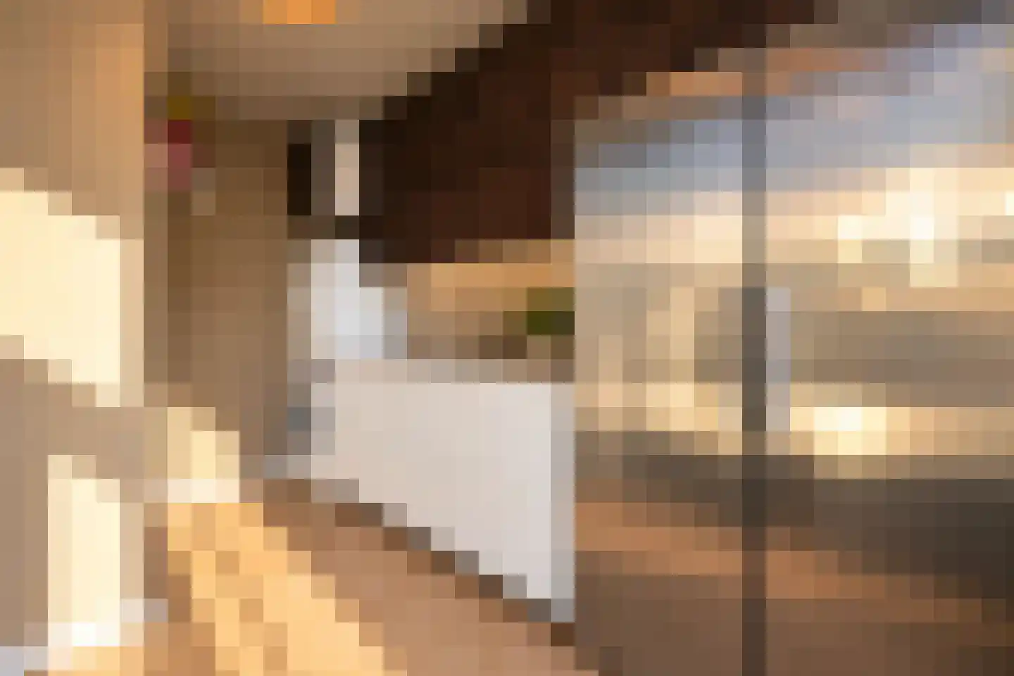 Korte Venen 27 Heerenveen thumbnail 11