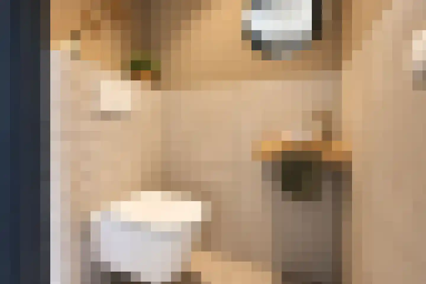 Korte Venen 27 Heerenveen thumbnail 23