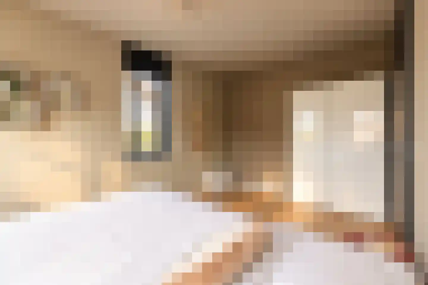 Korte Venen 27 Heerenveen thumbnail 30