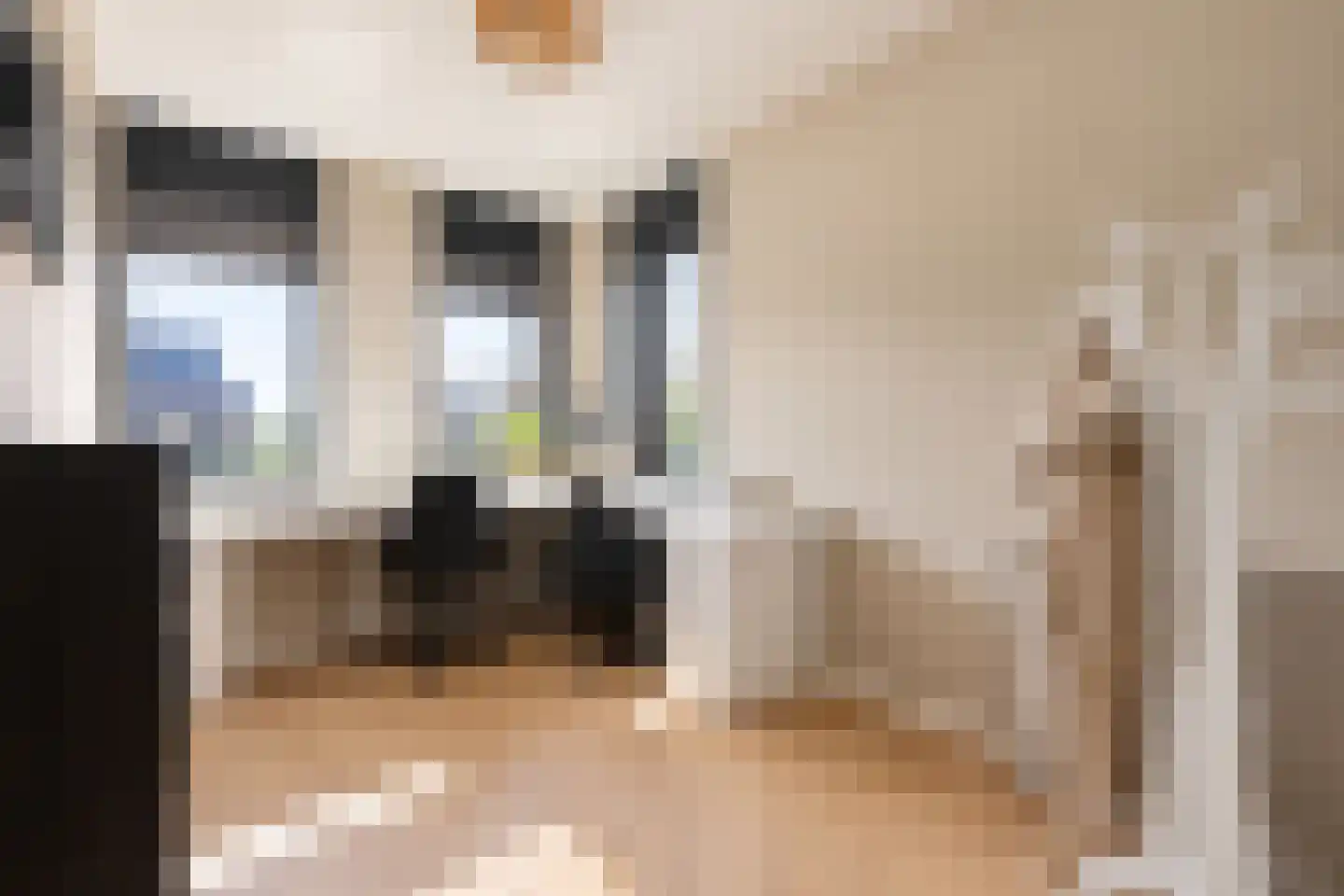 Korte Venen 27 Heerenveen thumbnail 33