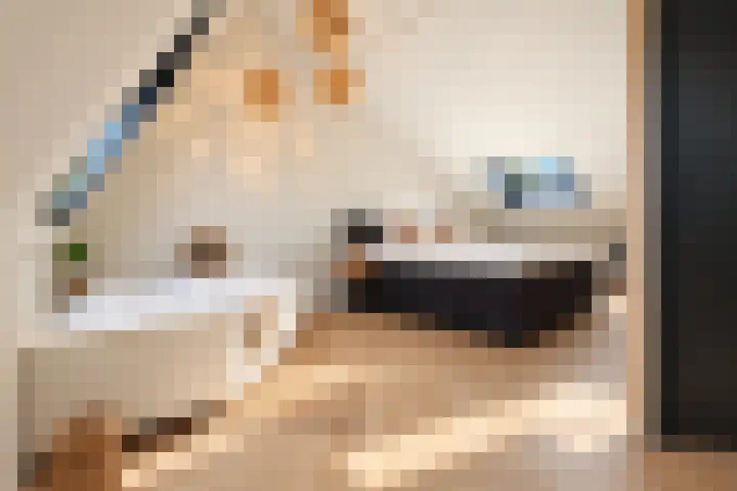 Korte Venen 27 Heerenveen thumbnail 35