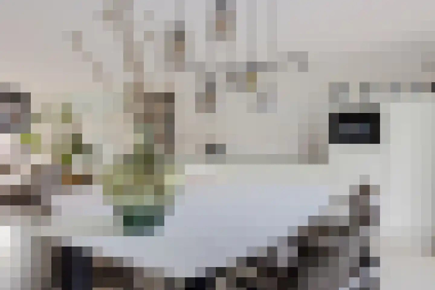 Korte Venen 37 Heerenveen thumbnail 16