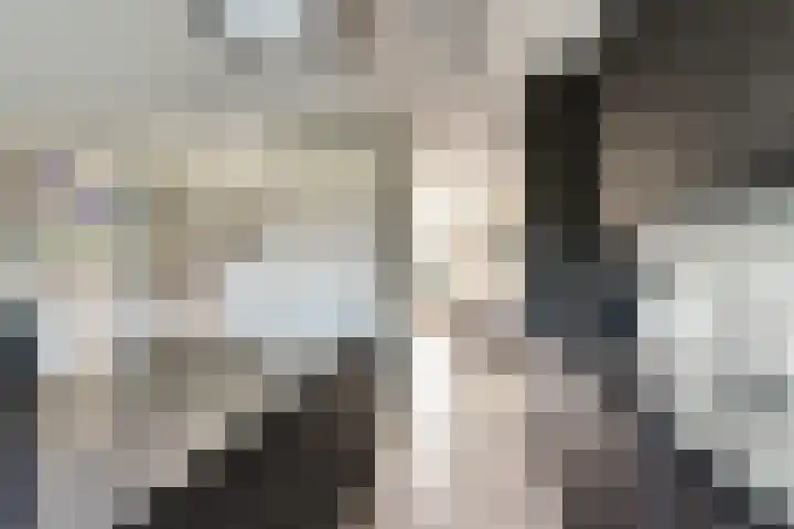 Korte Venen 4 Heerenveen thumbnail 10