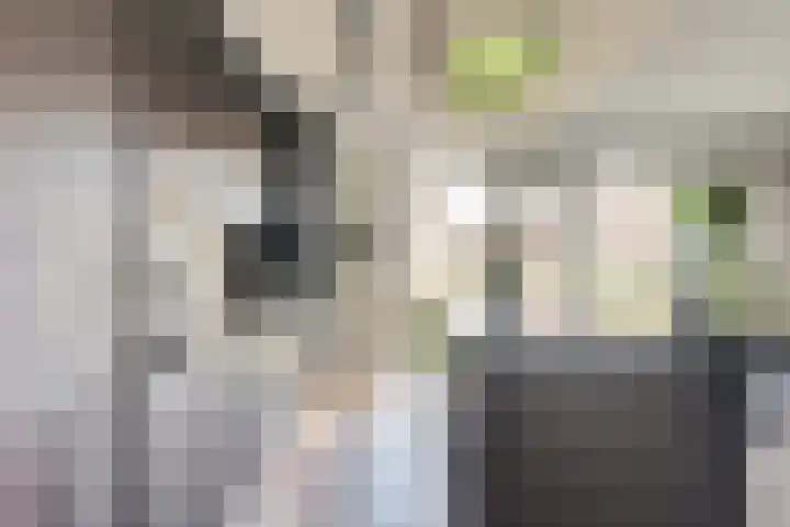 Korte Venen 4 Heerenveen thumbnail 11