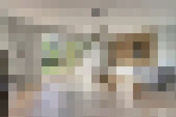 Korte Venen 4 Heerenveen thumbnail 13
