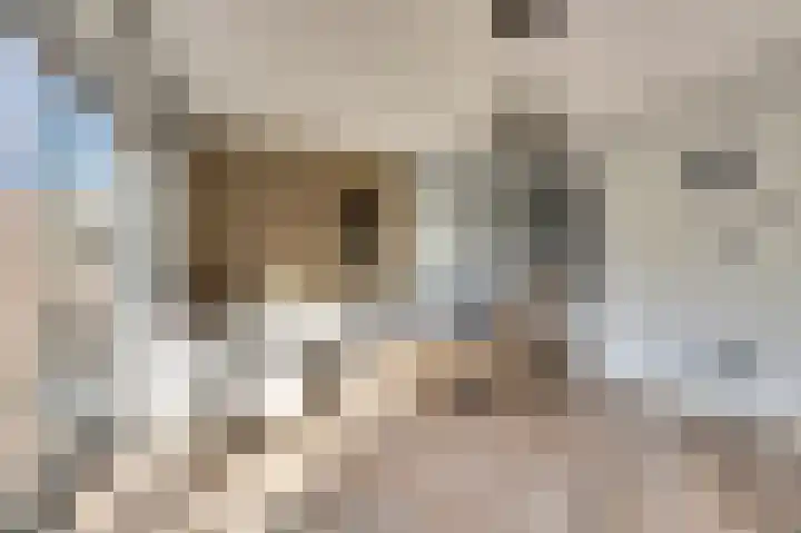 Korte Venen 4 Heerenveen thumbnail 15