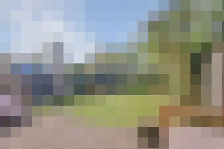 Korte Venen 4 Heerenveen thumbnail 31