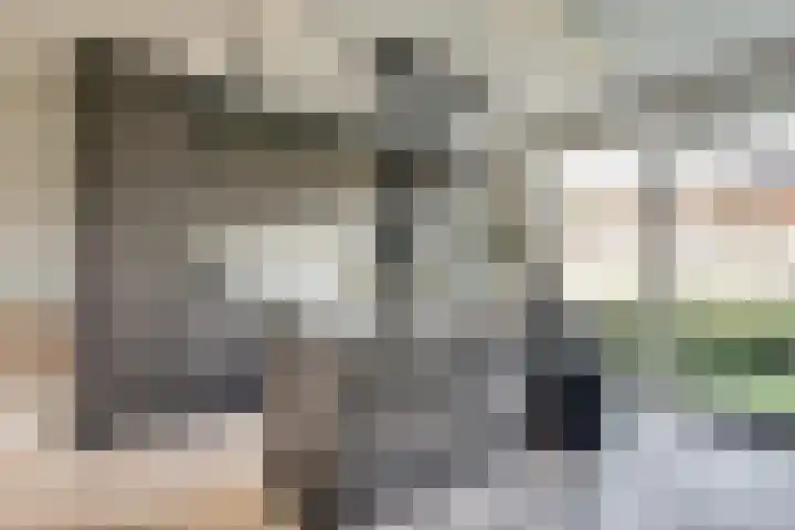 Korte Venen 4 Heerenveen thumbnail 8