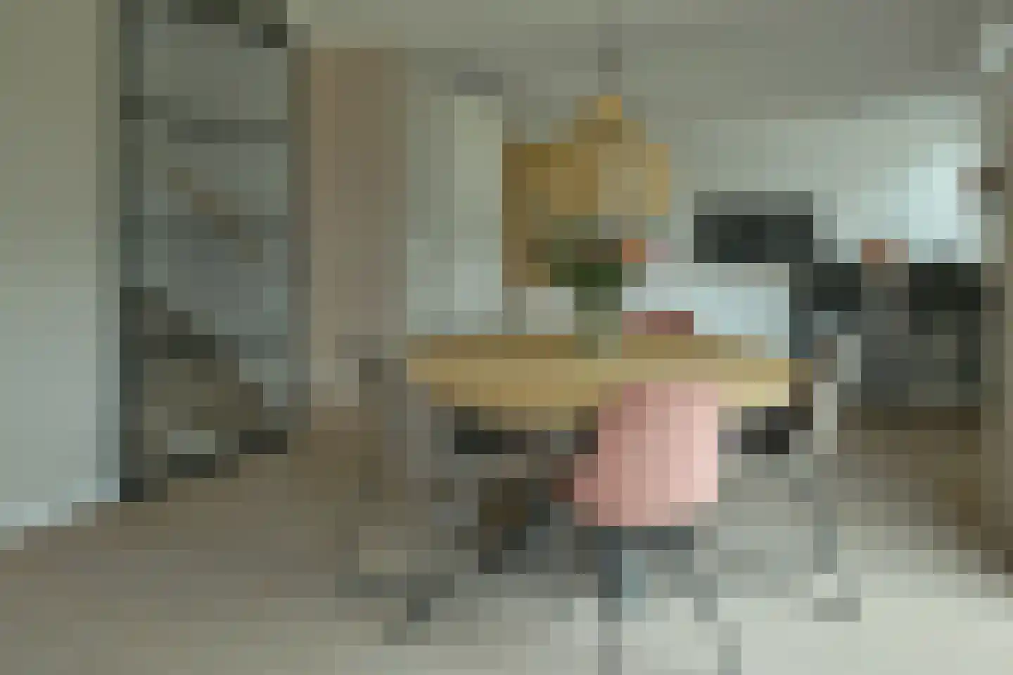 Korte Venen 6 Heerenveen thumbnail 27