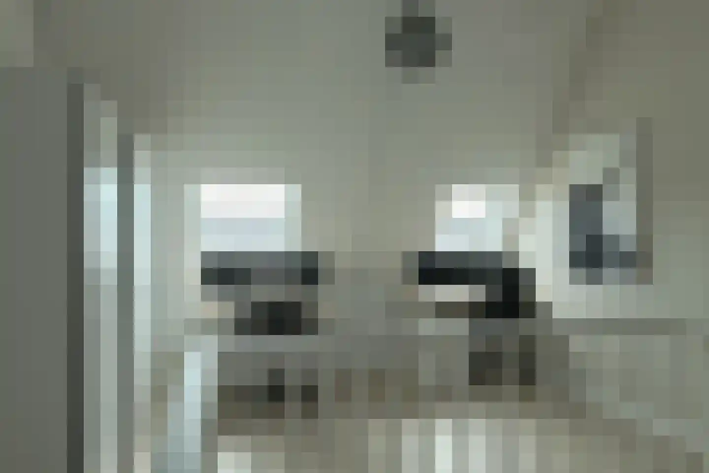 Korte Venen 6 Heerenveen thumbnail 46