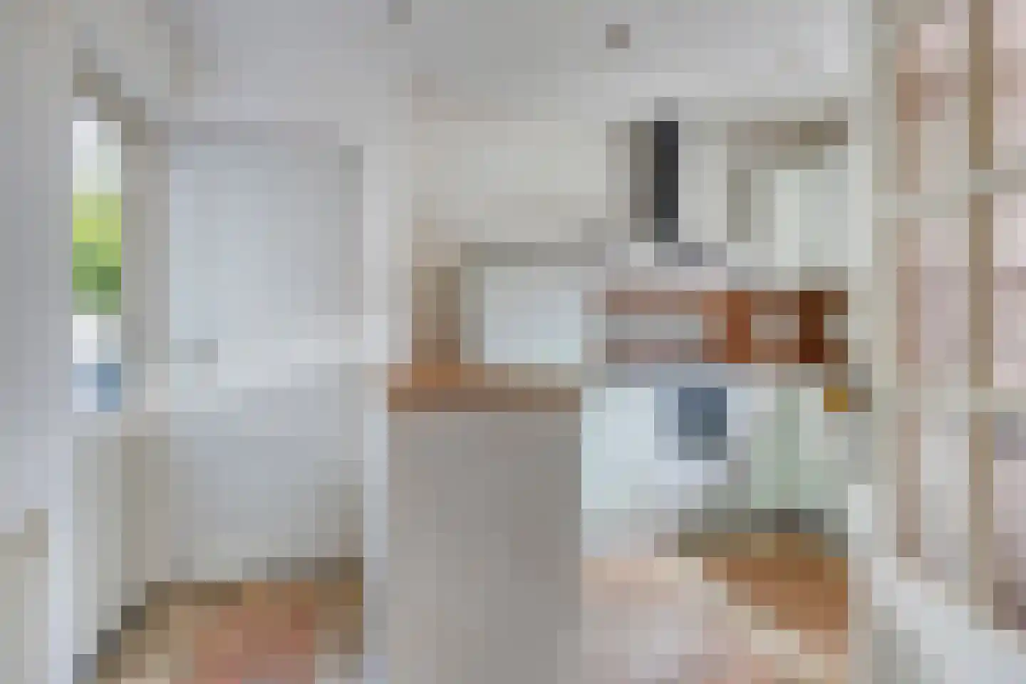 Korte Venstraat 1 Rosmalen thumbnail 12