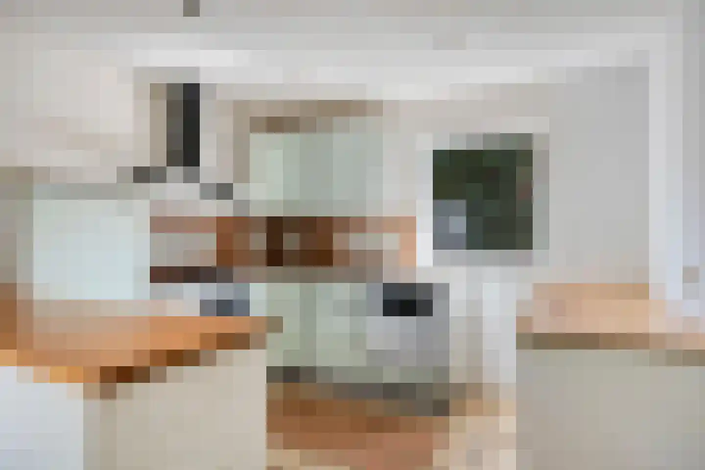 Korte Venstraat 1 Rosmalen thumbnail 13