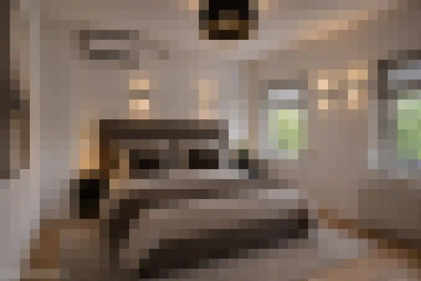Korte Venstraat 1 Rosmalen thumbnail 20