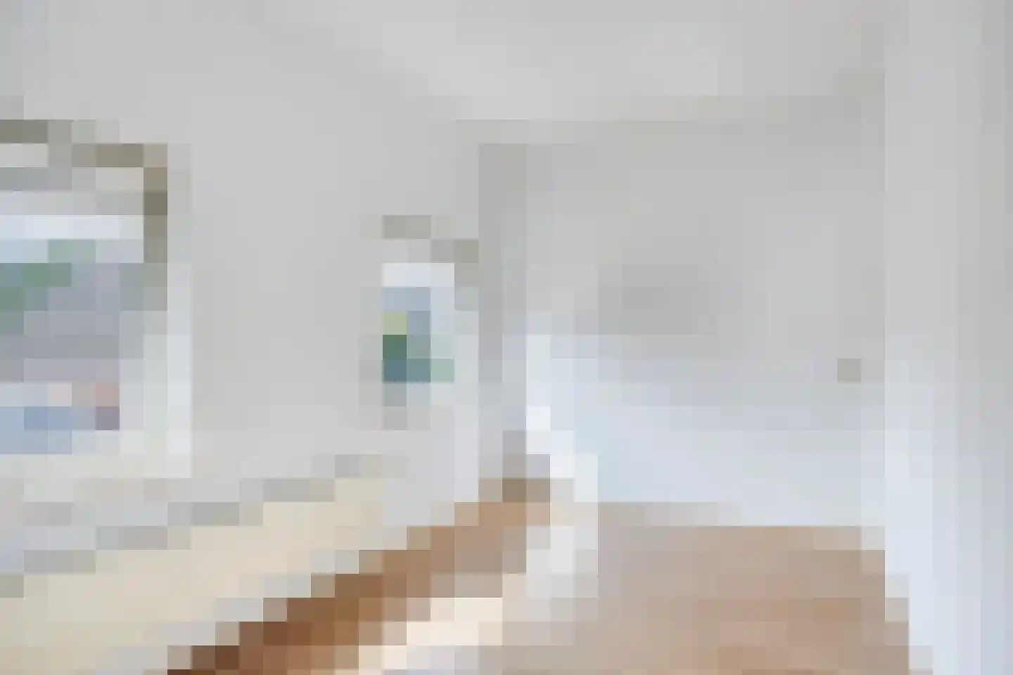 Korte Venstraat 1 Rosmalen thumbnail 22
