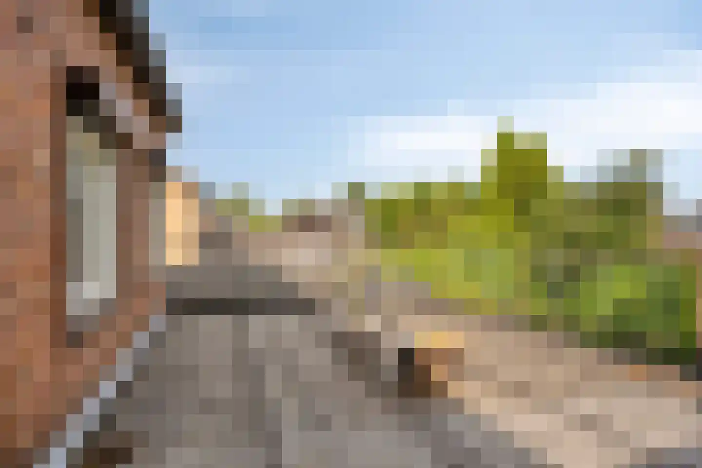 Korte Venstraat 1 Rosmalen thumbnail 30