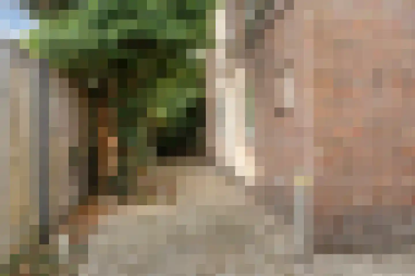 Korte Venstraat 1 Rosmalen thumbnail 34