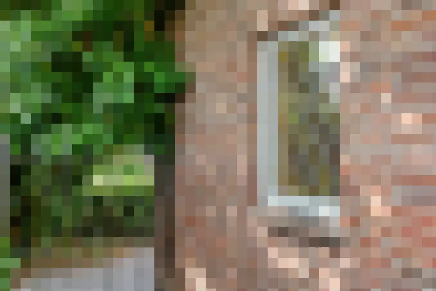 Korte Venstraat 1 Rosmalen thumbnail 35