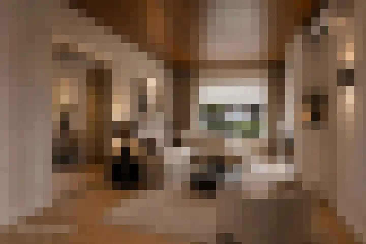 Korte Venstraat 1 Rosmalen thumbnail 4