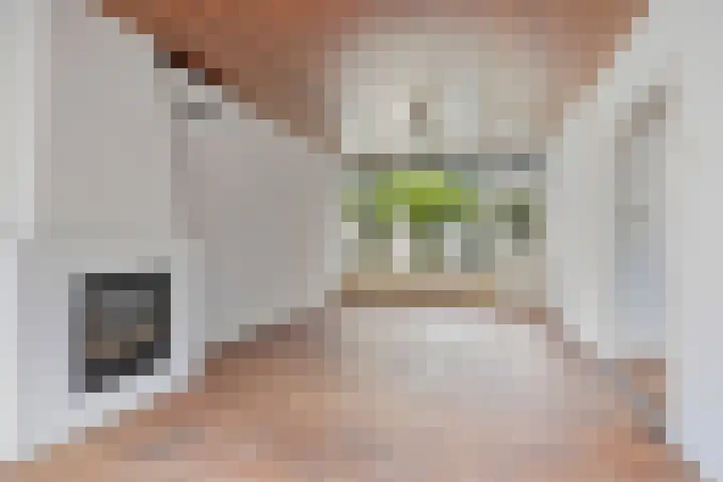 Korte Venstraat 1 Rosmalen thumbnail 6