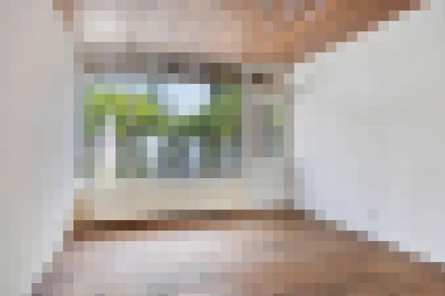 Korte Venstraat 1 Rosmalen thumbnail 7