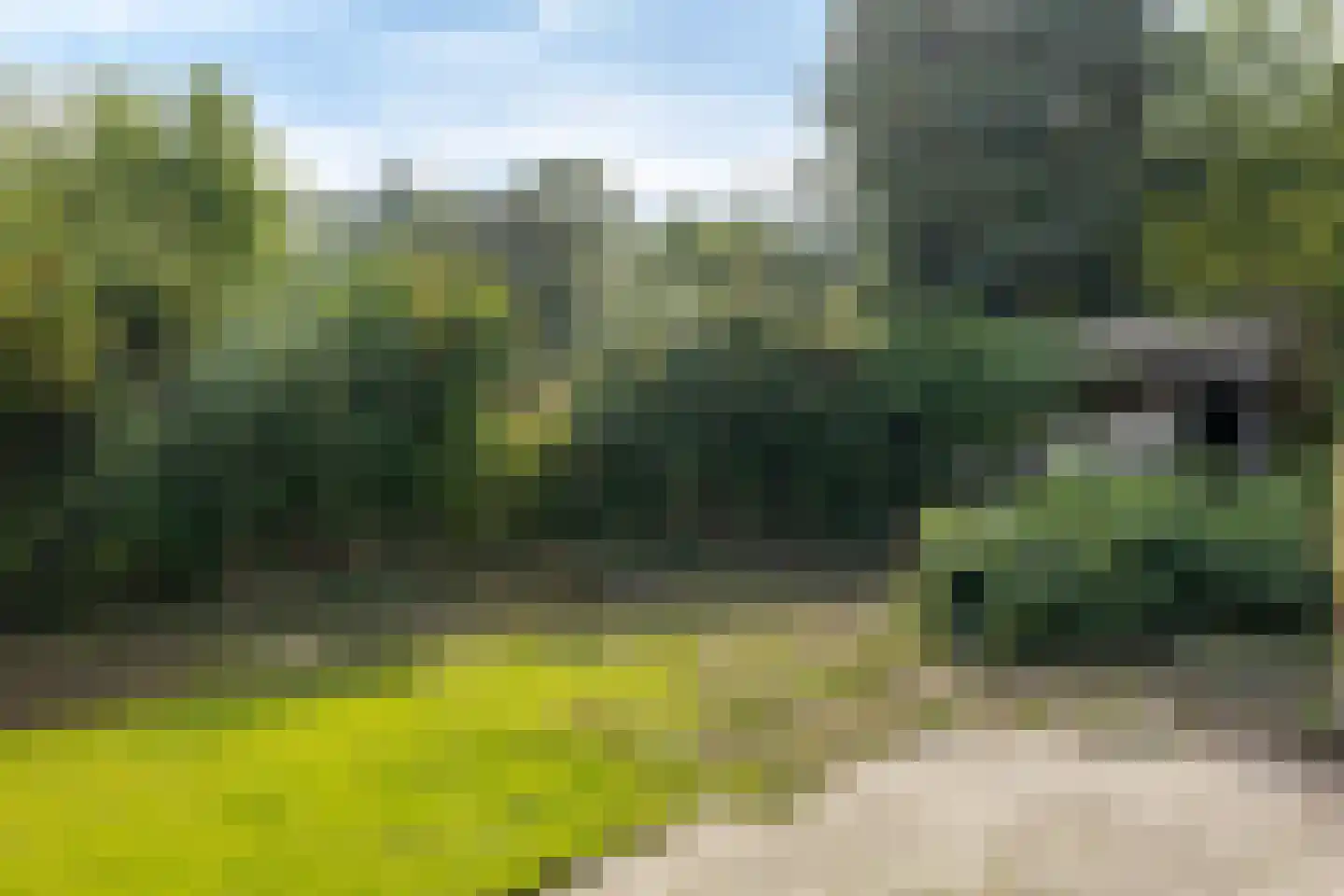 Korte Vest 19 Emmen thumbnail 33