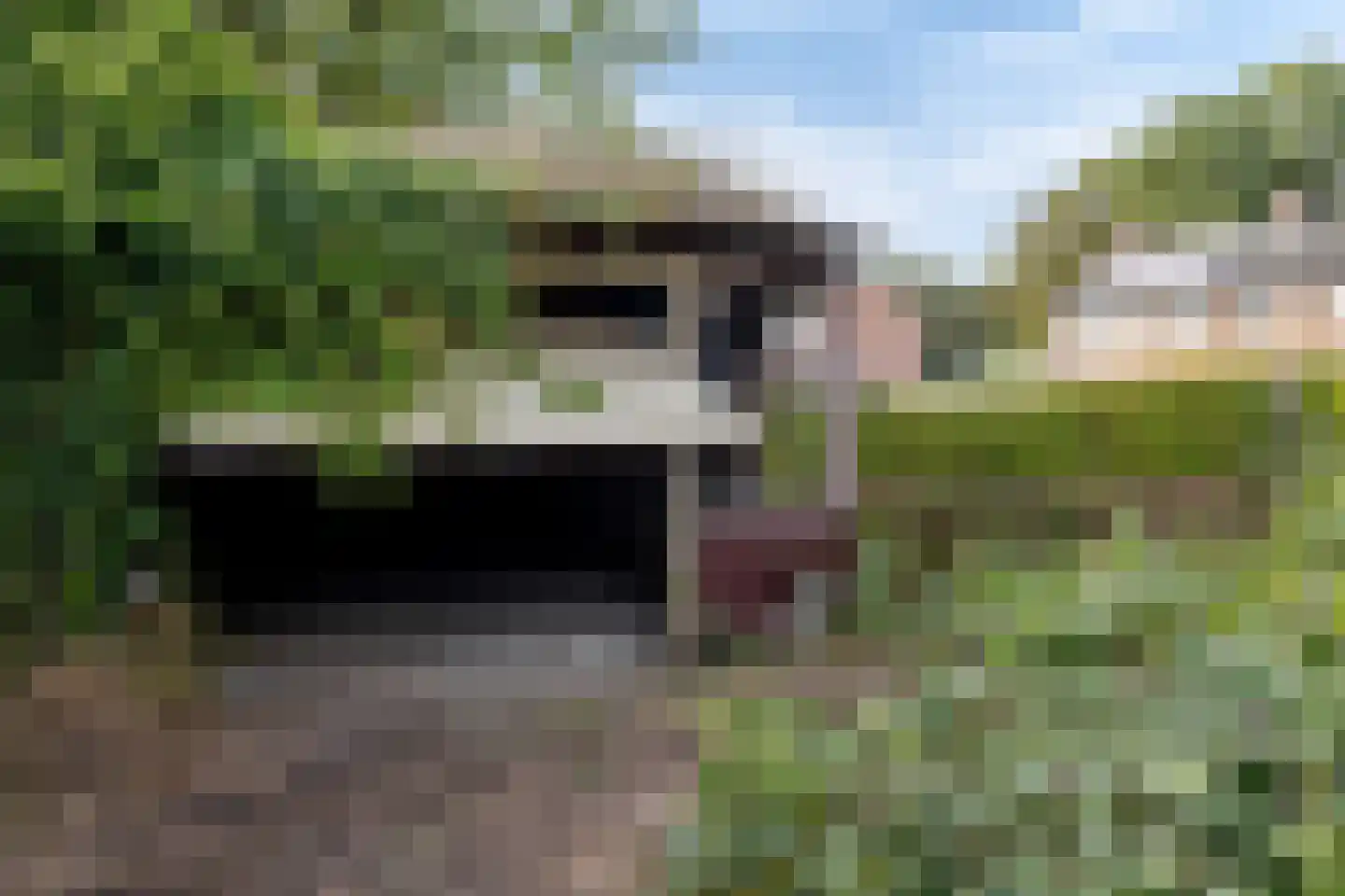 Korte Vest 19 Emmen thumbnail 37