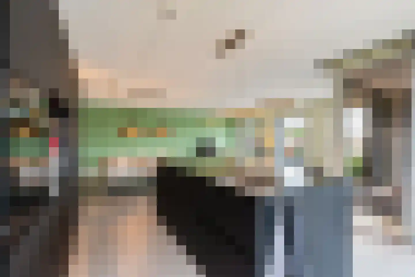 Korte Vondelstraat 41 Alkmaar thumbnail 11