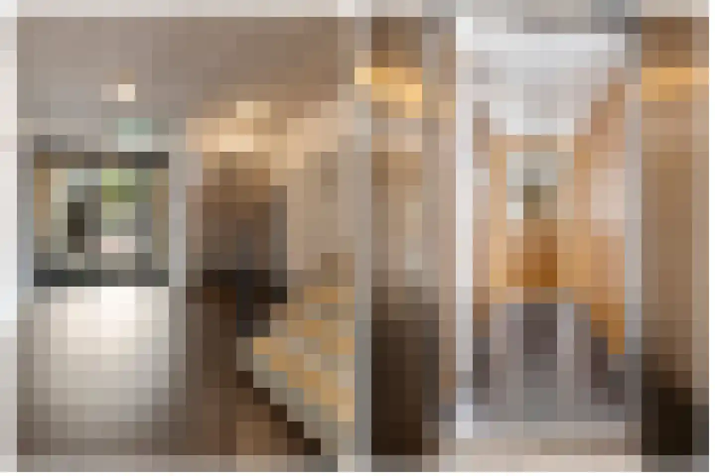 Korte Vondelstraat 41 Alkmaar thumbnail 34