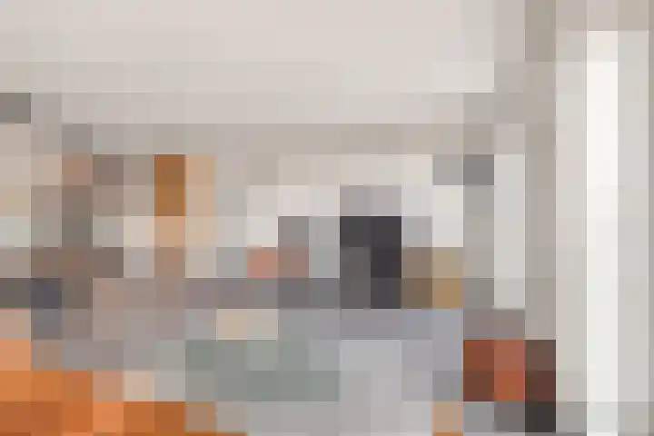 Korte Vondelstraat 41 Alkmaar thumbnail 5