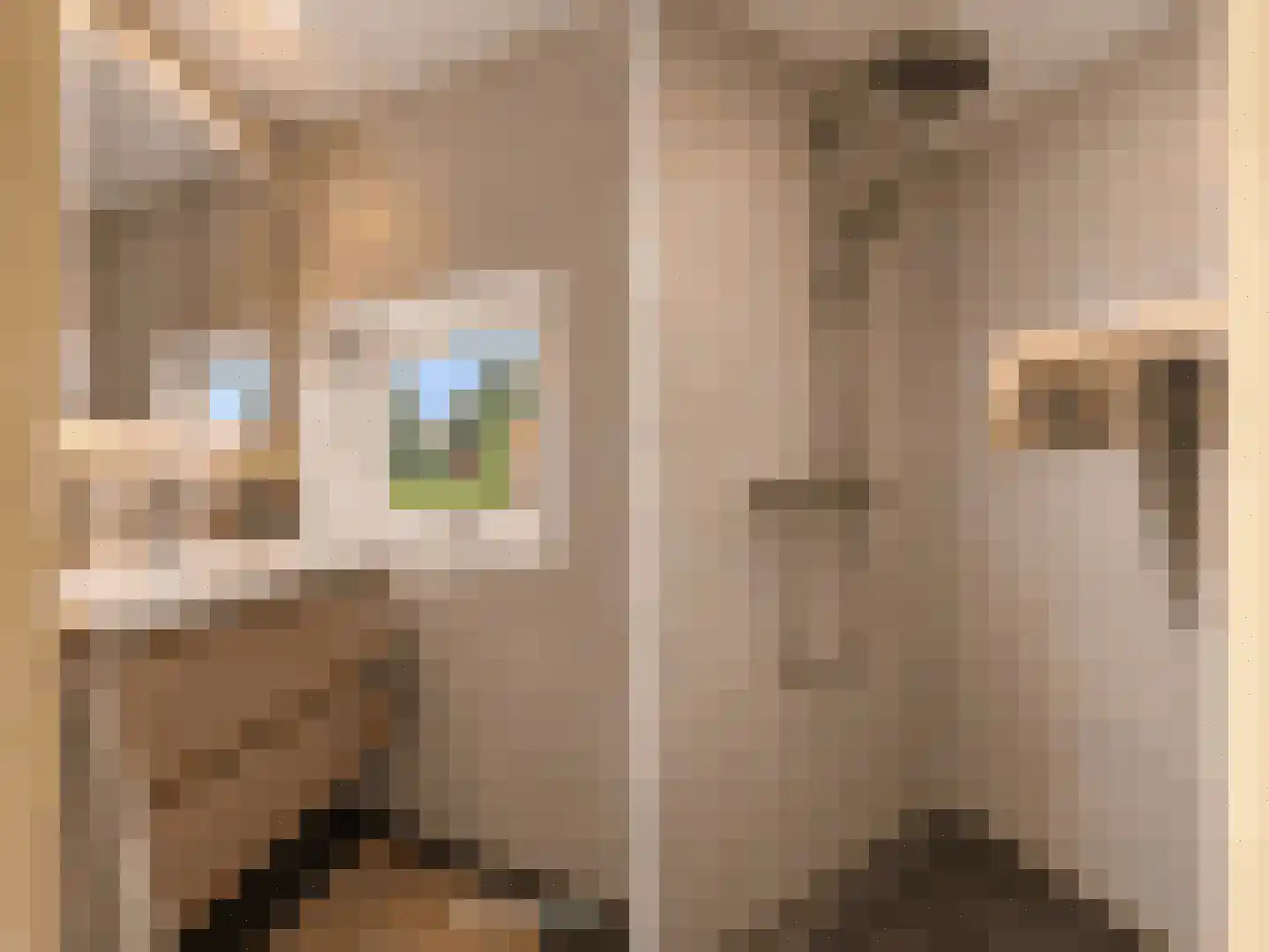 Korte Voor 19 Marknesse thumbnail 22