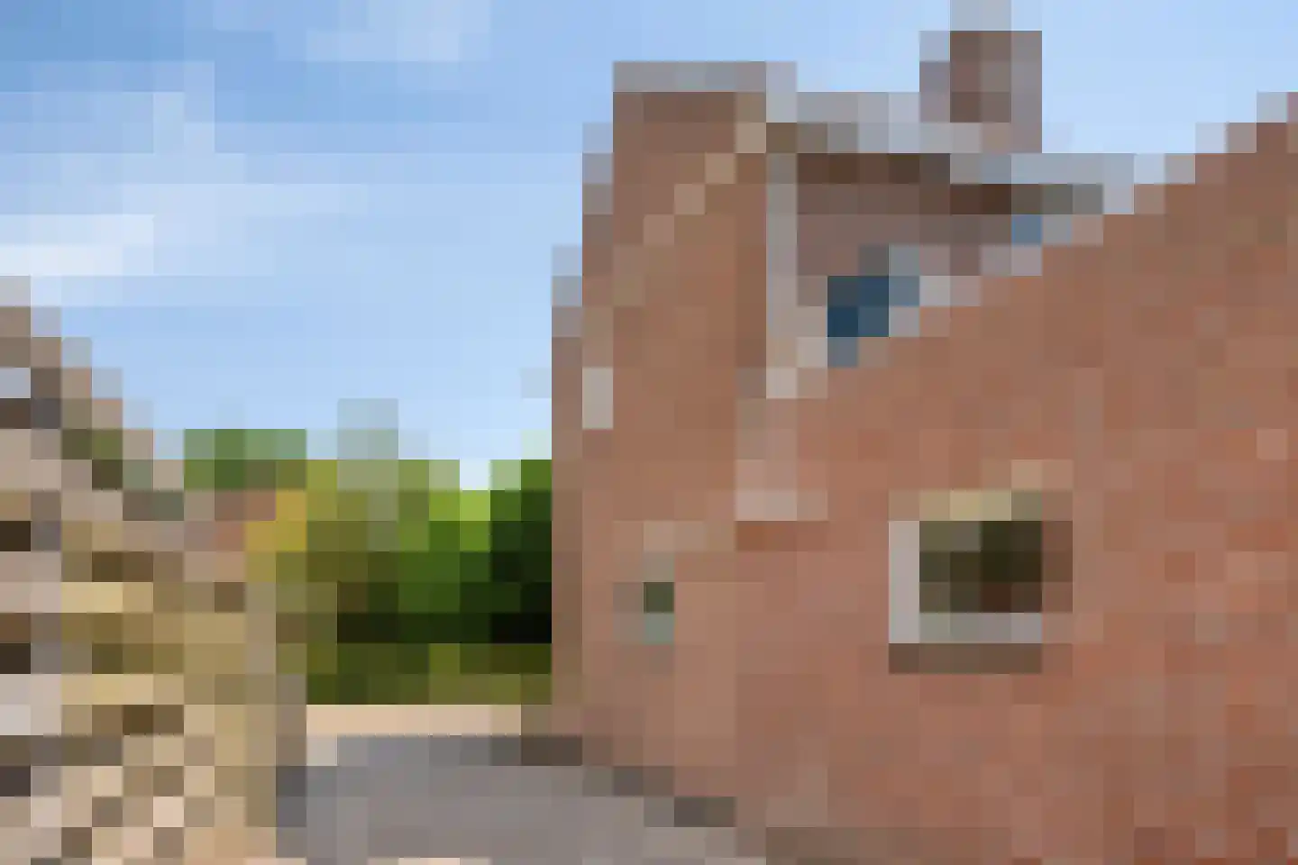 Korte Voor 19 Marknesse thumbnail 33