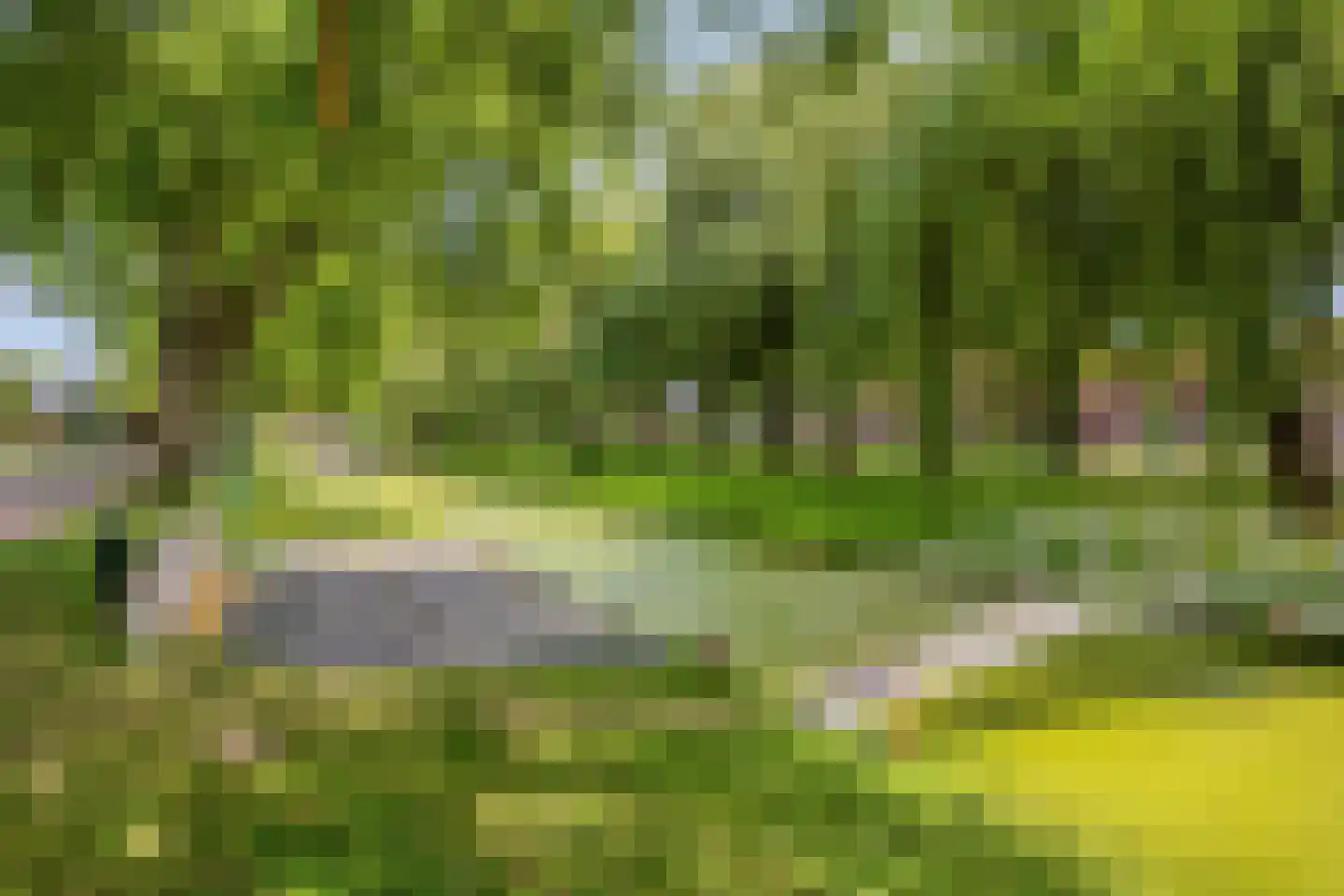 Korte Voor 19 Marknesse thumbnail 36