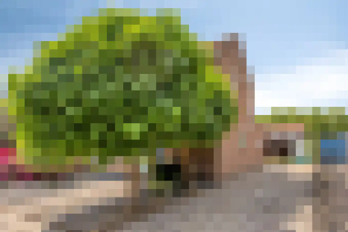Korte Voor 19 Marknesse thumbnail 8