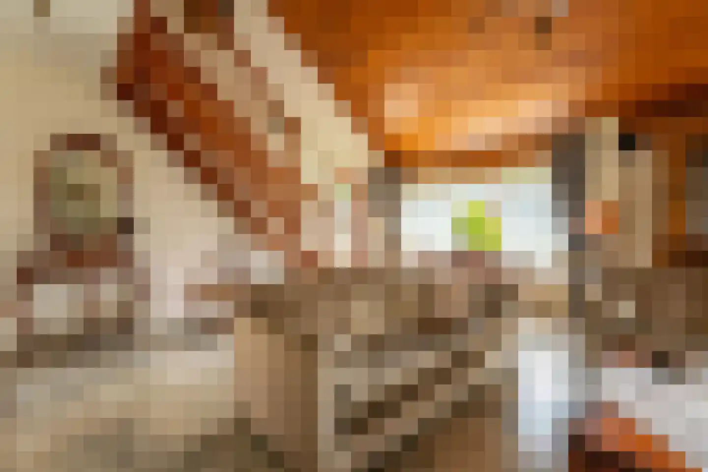 Korte Voorhouterweg 2 Rijnsburg thumbnail 12