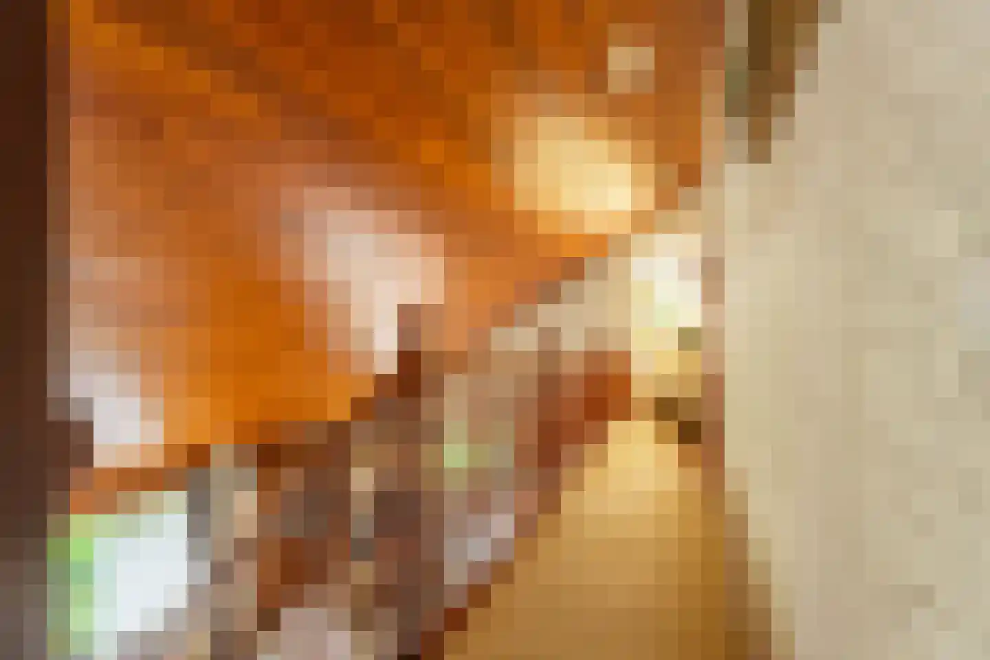 Korte Voorhouterweg 2 Rijnsburg thumbnail 22
