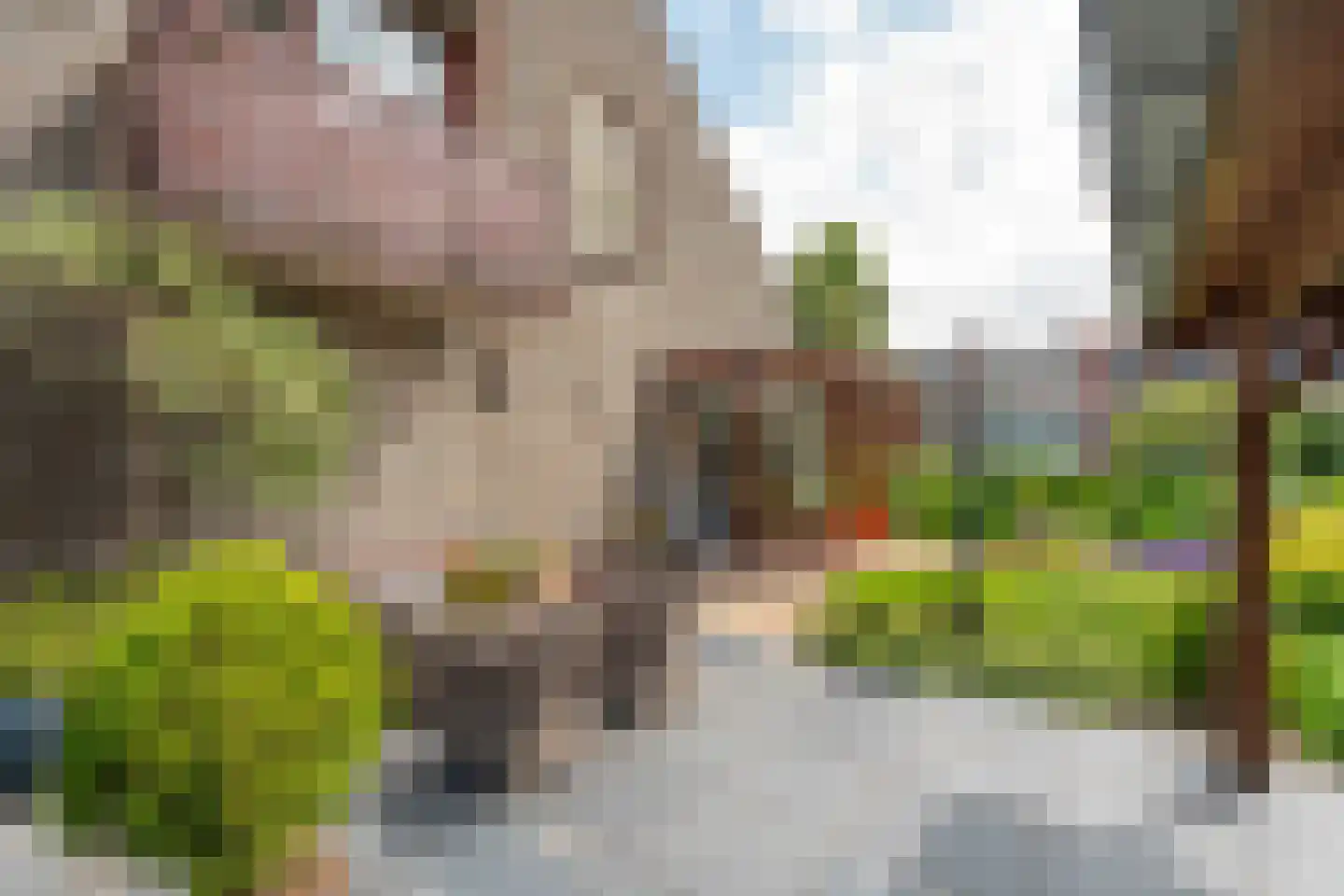 Korte Voorhouterweg 2 Rijnsburg thumbnail 33