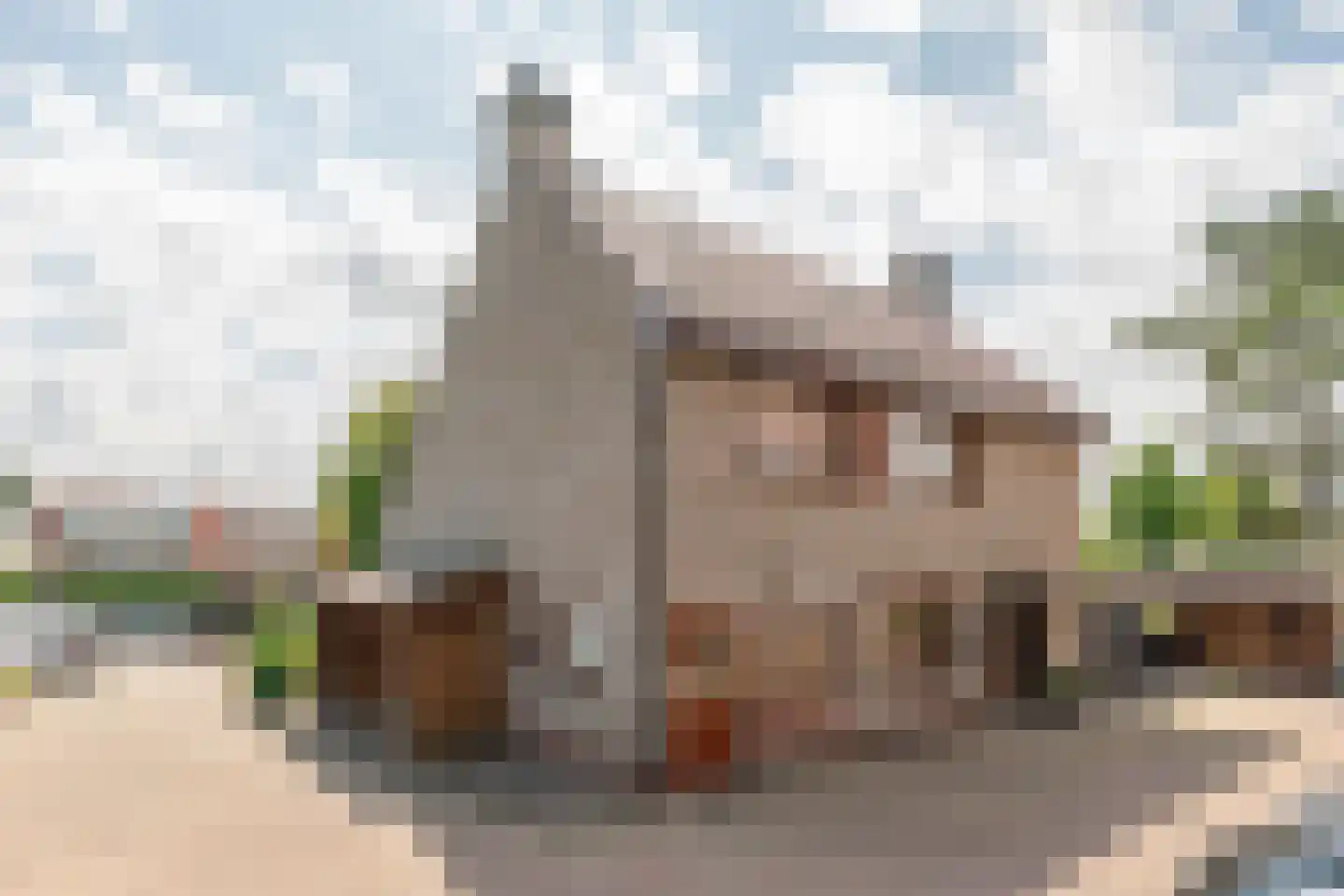 Korte Voorhouterweg 2 Rijnsburg thumbnail 36