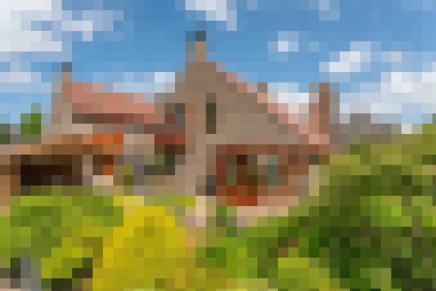Korte Voorhouterweg 2 Rijnsburg thumbnail 37