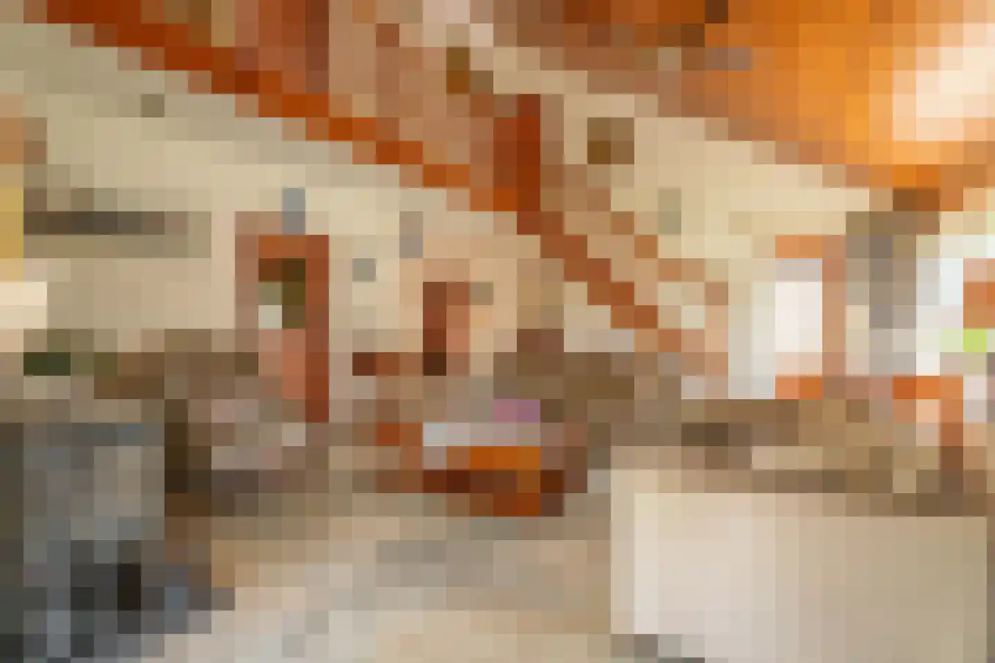 Korte Voorhouterweg 2 Rijnsburg thumbnail 5
