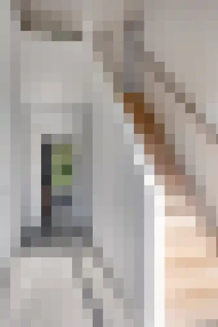 Korte Voren 11 Lochem thumbnail 13