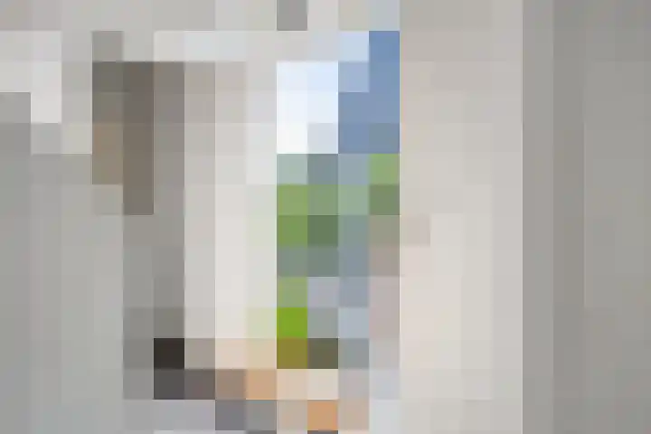 Korte Voren 11 Lochem thumbnail 15