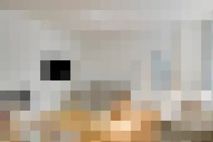 Korte Voren 11 Lochem thumbnail 19