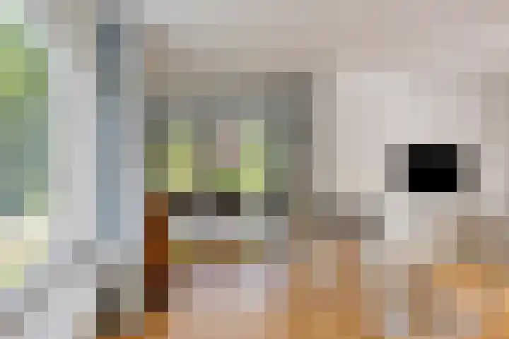 Korte Voren 11 Lochem thumbnail 20
