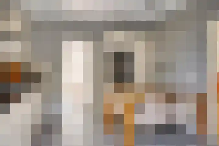 Korte Voren 11 Lochem thumbnail 26