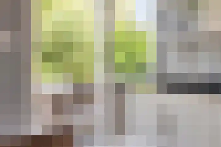 Korte Voren 11 Lochem thumbnail 30