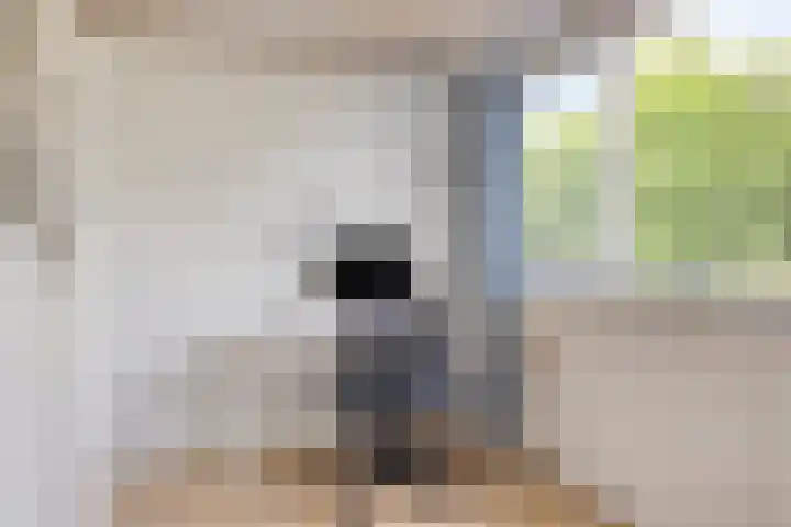 Korte Voren 11 Lochem thumbnail 47
